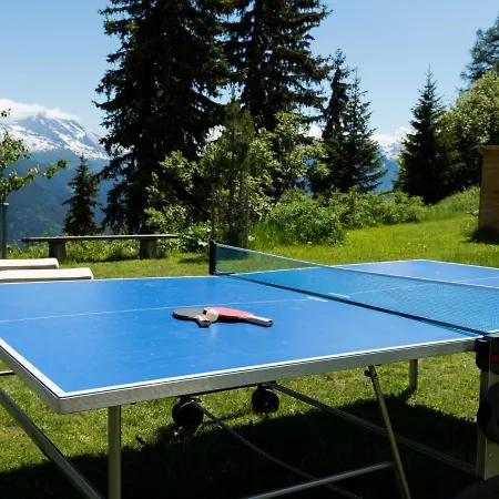 Sportina 23 * Riederalp